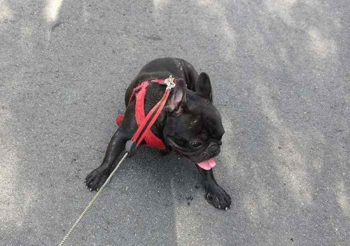 忍びの才能で一番大切なのは 忍びの才能で一番大切なのは