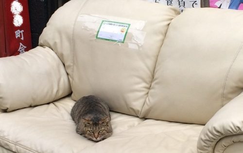 あきらめねェど根性だ あきらめねェど根性だ