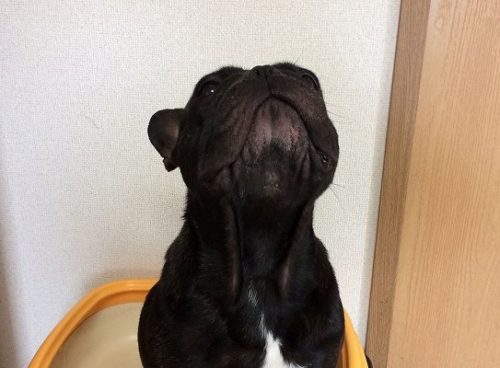 パーちゃんの持ってる術 パーちゃんの持ってる術