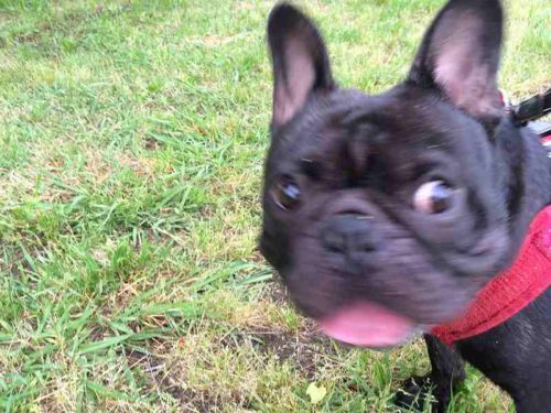 パーちゃん パーちゃん