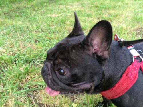 パーちゃん パーちゃん