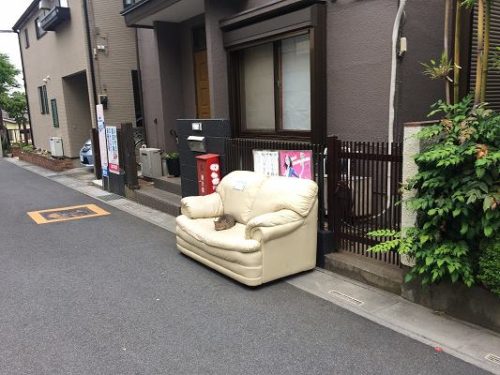 ソファーの上の自来也さん ソファーの上の自来也さん