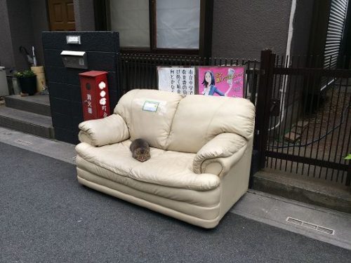 自来也さんと粗大ごみソファー 自来也さんと粗大ごみソファー